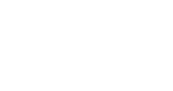 CASTOR MEDICAL TRANSPORTATION