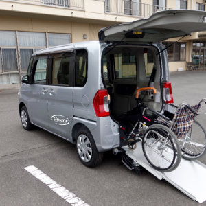 Van with wheelchair
